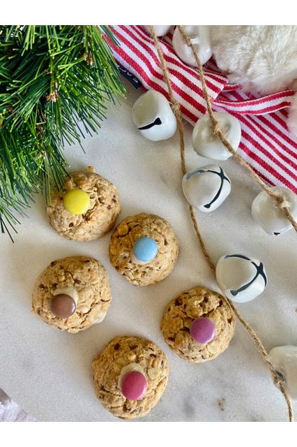 locally made vegan lactation cookies gingerbread