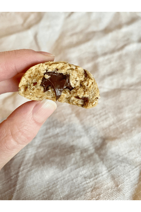 Home made vegan lactation cookies
